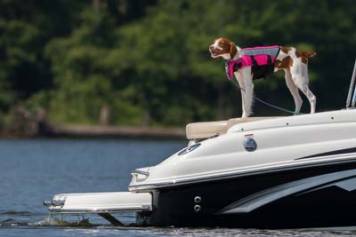 Bring Fido with you to Lake Geneva