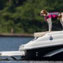 Bring Fido with you to Lake Geneva