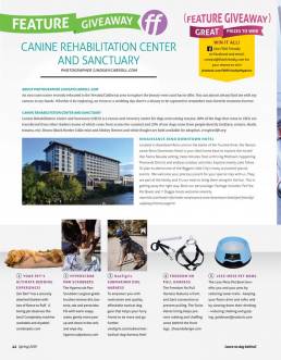 FIDO Friendly Magazine Spring 2019 Feature Giveaway page 1