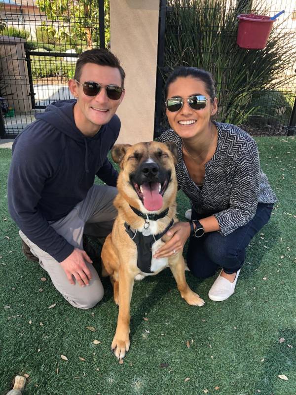 Furever Heroes Open Doors For Shelter Pets Fido Friendly