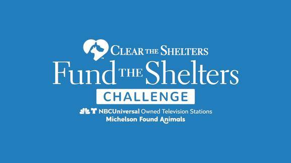 FUND THE SHELTERS CHALLENGE - $200,000 In Grants to Be Awarded to Animal  Welfare Organizations | FIDO Friendly