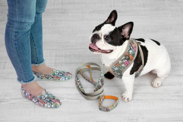 skechers pet shoes