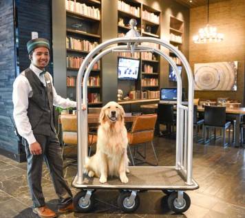 The Porter Portland welcomes both you and your furry best friend.