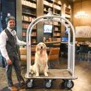 The Porter Portland welcomes both you and your furry best friend.