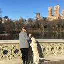 Manhattan with its skyscrapers and glamorous hot spots, might not strike travelers as a Fido-friendly city, but it really is if you know where to go