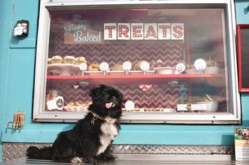 The Seattle Barkery&mdash;A Treat Truck (and more!) for Dogs!
