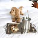 Tail-wagging Canine Concierge?