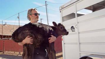 People making a difference in the lives of our animal friends.