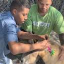 Darius Brown helping shelter dogs get adopted