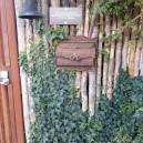 historic Painted Lady Bed & Brew in Albuquerque, NM