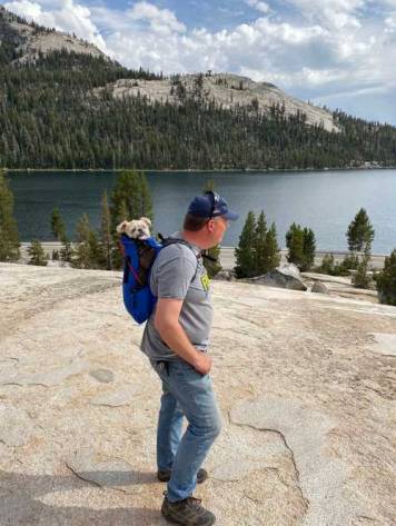 summer 2020 - spend camping