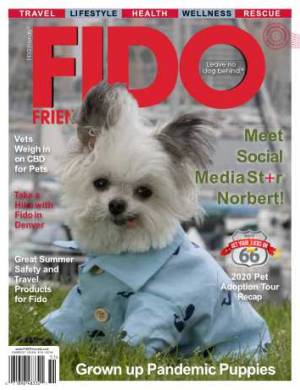 Fido Friendly Issue 84