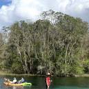 Florida parks