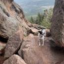 Hiking with Fido in Denver