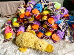 First large donation of stuffed duck toys