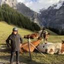Susan Sims Saying hi to some cows in the Alps