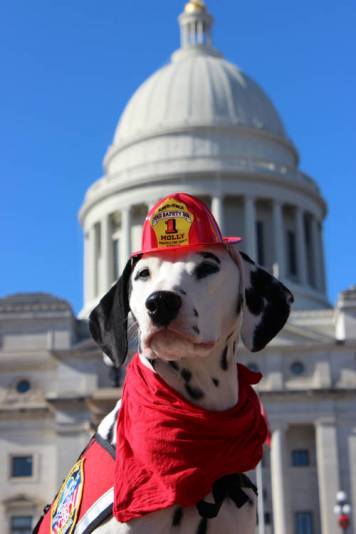 Molly the Fire Safety Dog