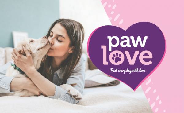 Paw love best sale beef sticks