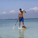 Bob the dog on a paddle board on a lake