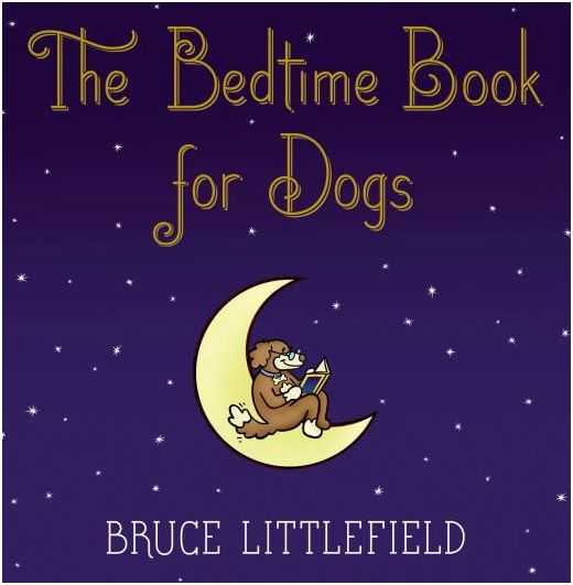 bedtime book review